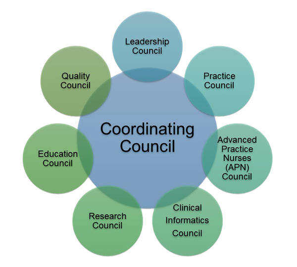 Providence Mission Hospital Shared Governance Structure Graphic