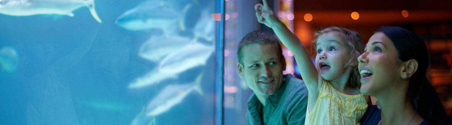 Family visiting an aquarium with young child